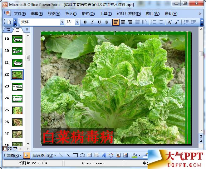 蔬菜主要病虫害识别及防治技术课件