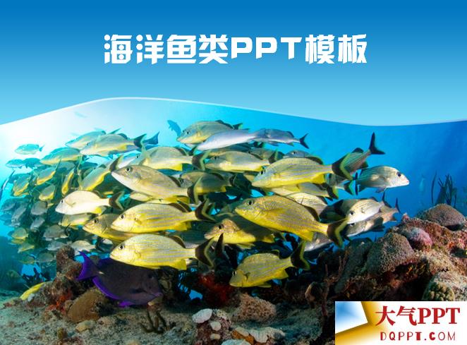 蓝色海洋世界鱼类介绍旅游主题ppt模板